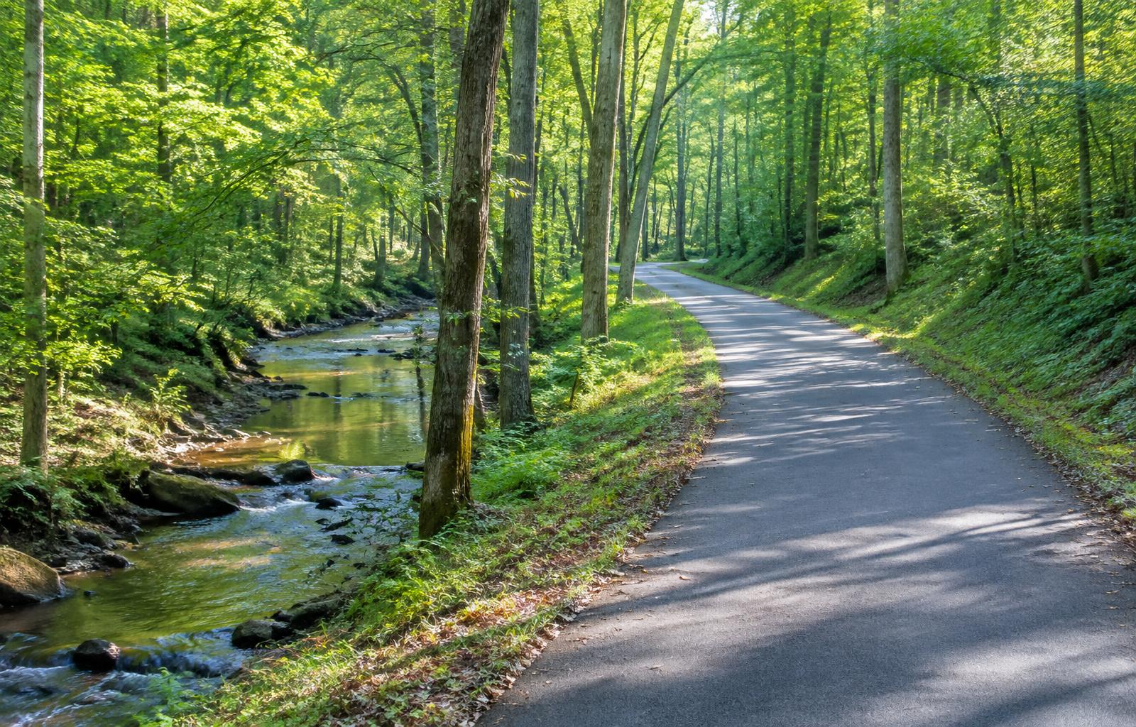 Representative photograph of a paved greenway trail beside a creek in hardwood forest